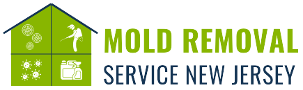 Mold Removal Service New Jersey